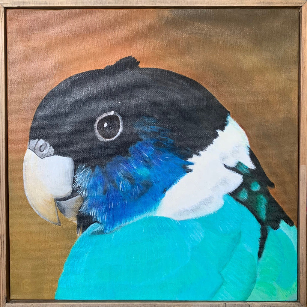 Painting of an Australian Ringneck parrot with a brown background