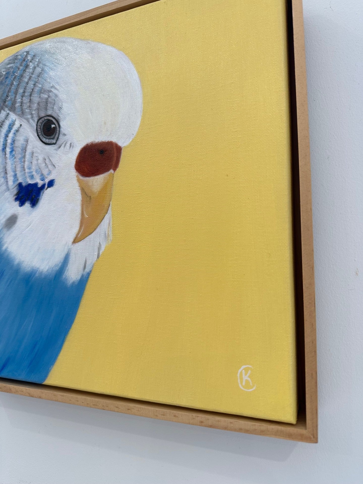Framed artwork of a Budgie on a yellow background