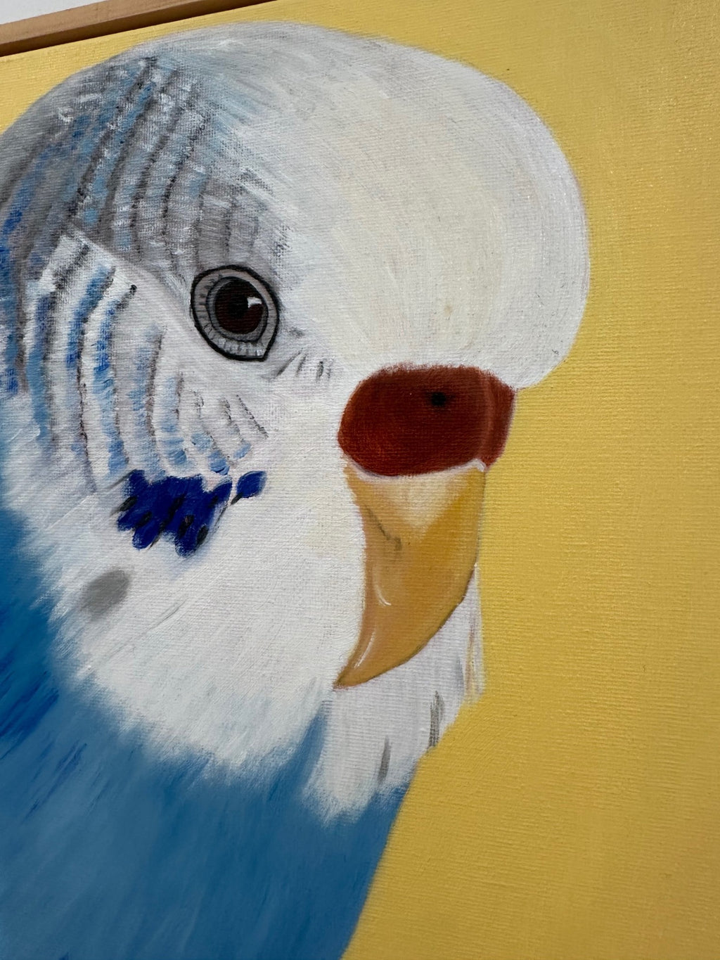 Close-up of a Blue Budgie painting on a yellow background