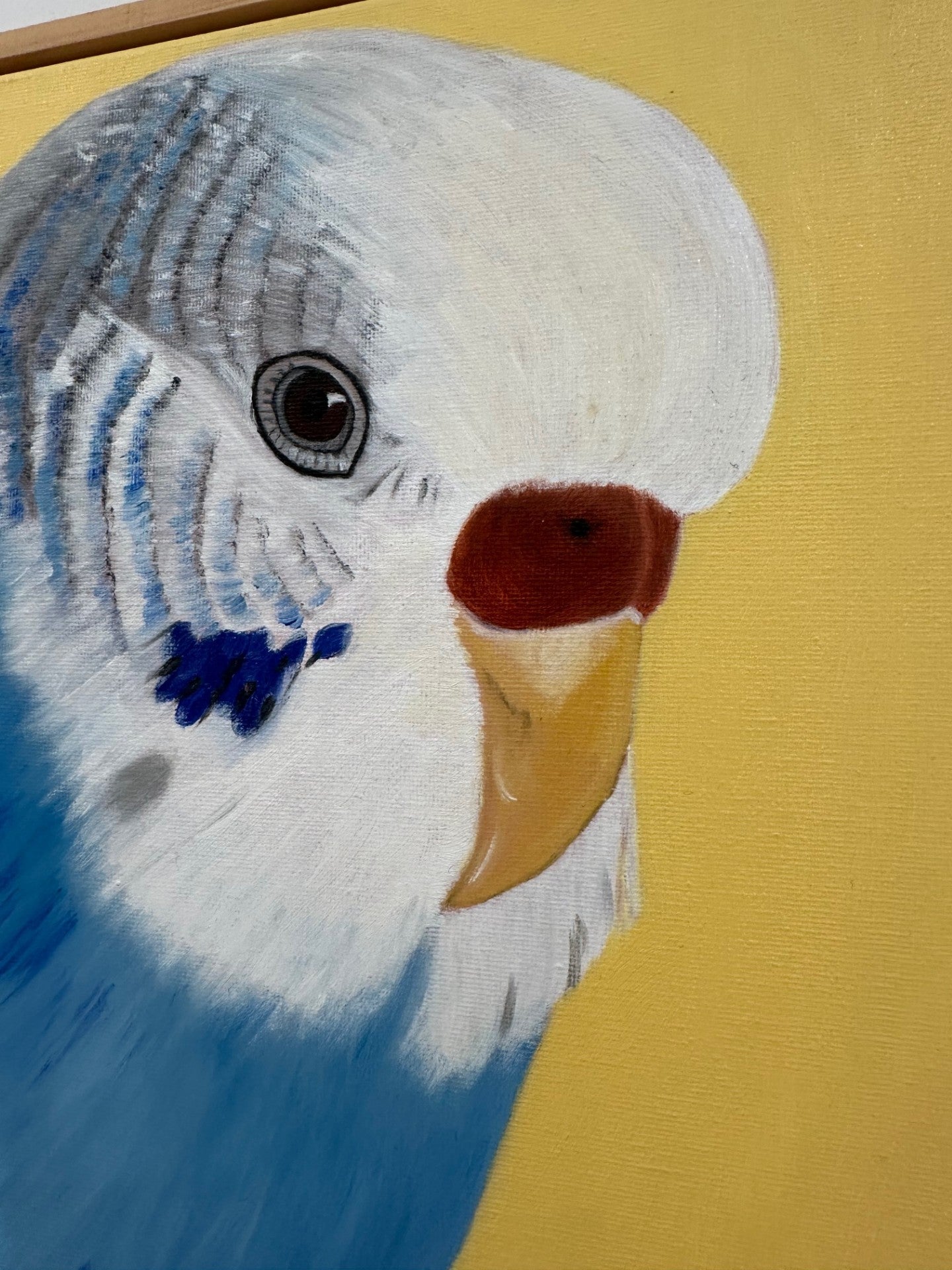 Close-up of a Blue Budgie painting on a yellow background
