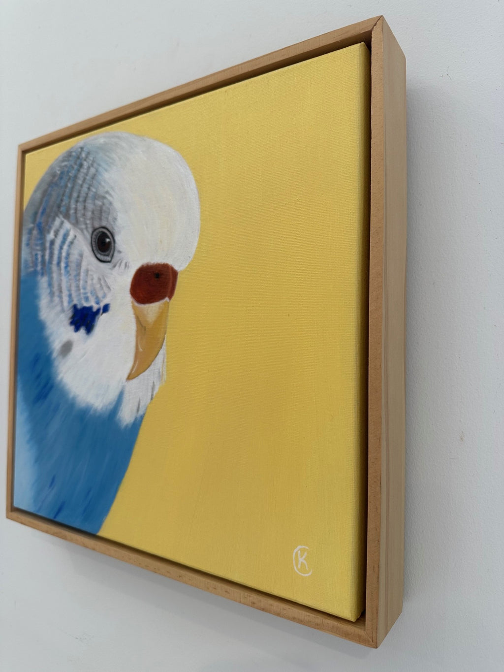 Framed artwork of a Budgie on a yellow background