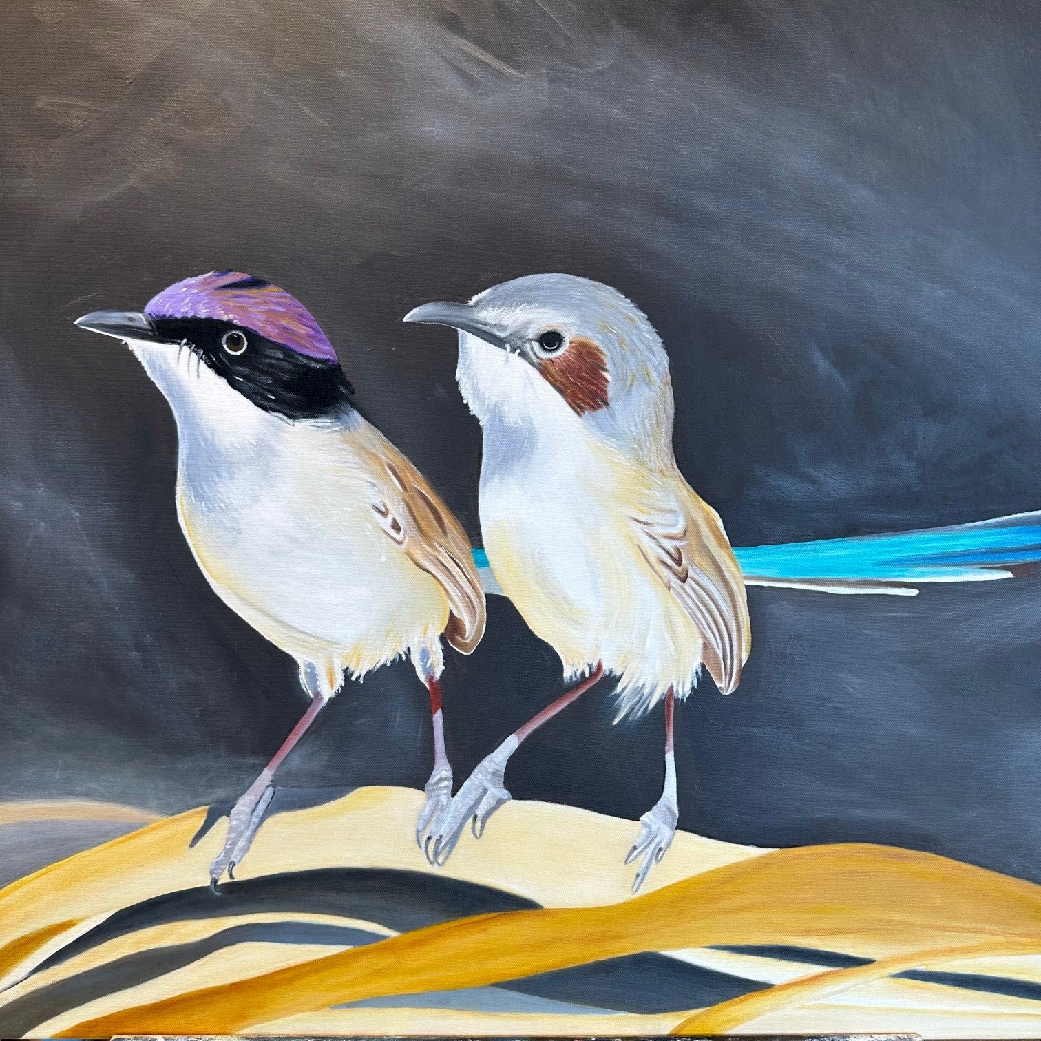 Two stylised purple crested Fairywrens birds on a dark background with abstract elements