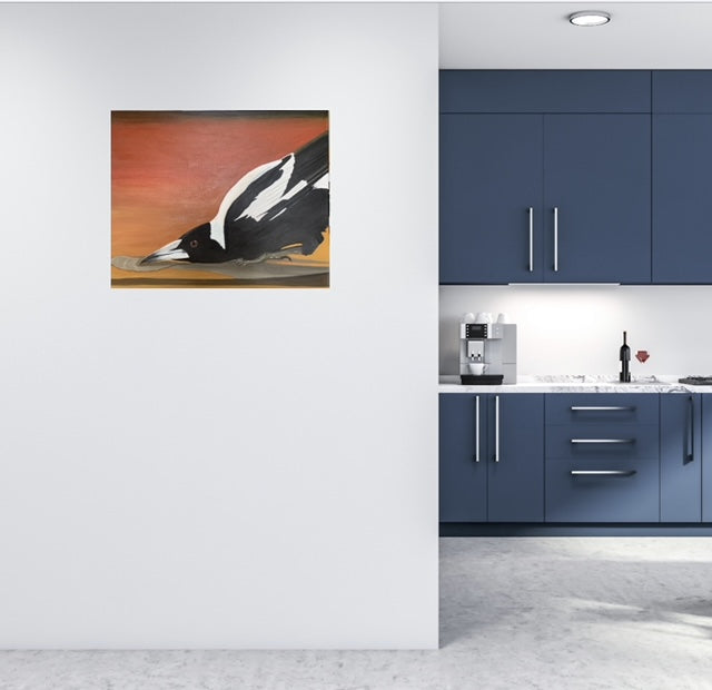 Heatwave (Australian Magpie)